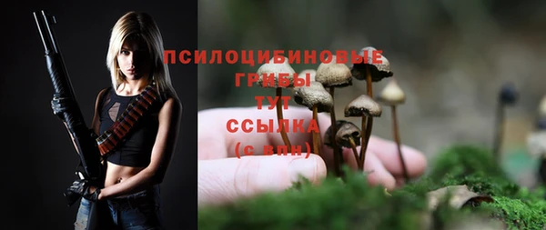 стафф Баксан