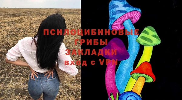 стафф Баксан