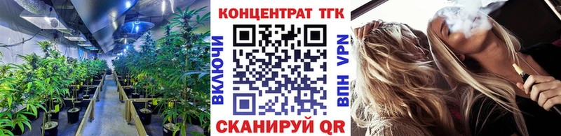 ТГК гашишное масло  mega как войти  Пласт 