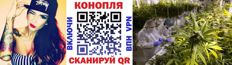 Бошки марихуана MAZAR  нарко площадка официальный сайт  Пласт 